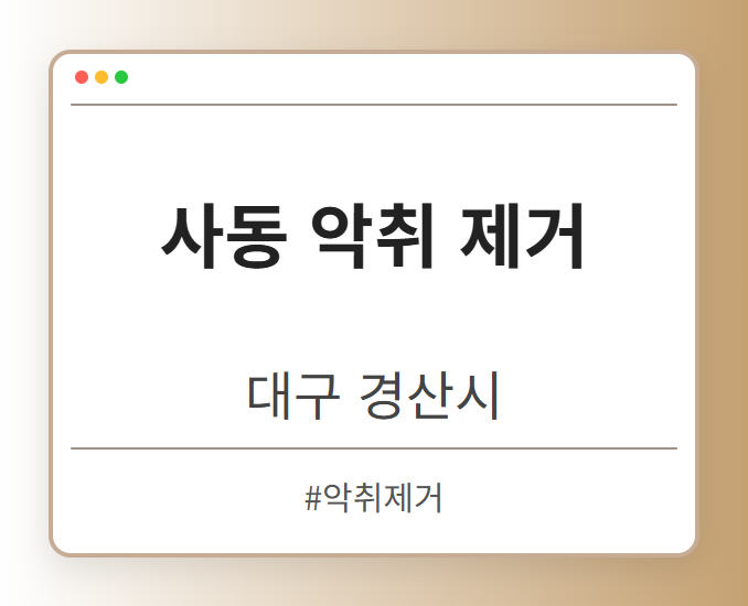 사동 악취 제거 - 대구 경산시 사동 악취 제거 전문업체