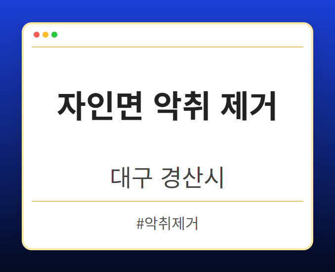 자인면 악취 제거 - 대구 경산시 자인면 악취 제거 전문업체